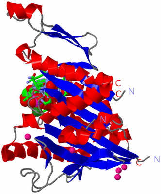 Image Asym. Unit - sites