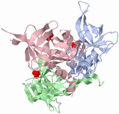 Image Biological Unit 1