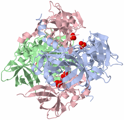 Image Biological Unit 2