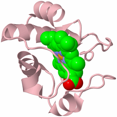 Image Biological Unit 3