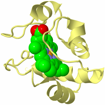 Image Biological Unit 4