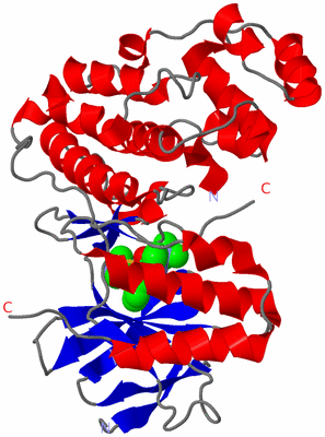 Image Asym./Biol. Unit