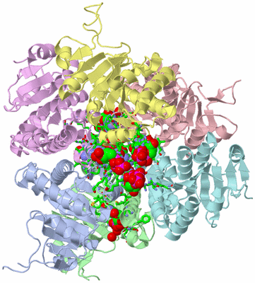 Image Asym./Biol. Unit - sites