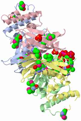 Image Biological Unit 1