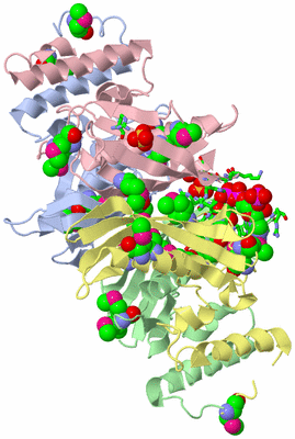 Image Biol. Unit 1 - sites