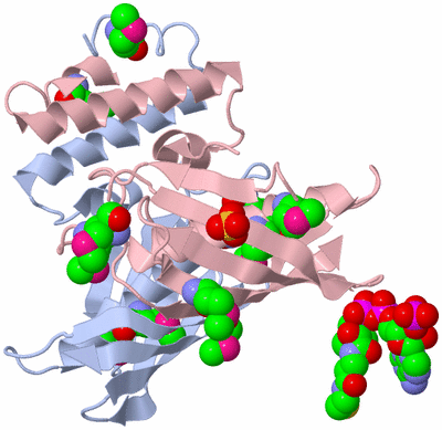 Image Biological Unit 2