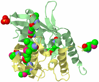 Image Biological Unit 3