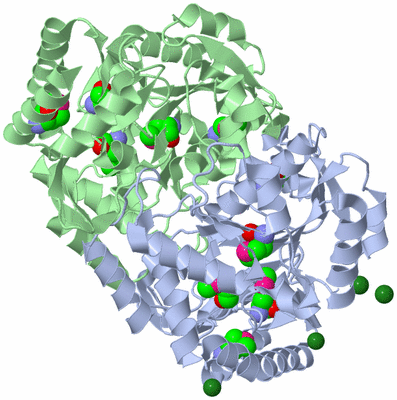 Image Asym./Biol. Unit