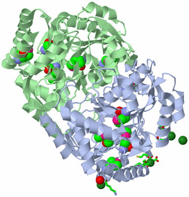 Image Asym./Biol. Unit - sites