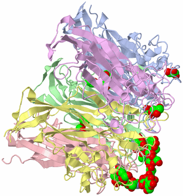 Image Biological Unit 1