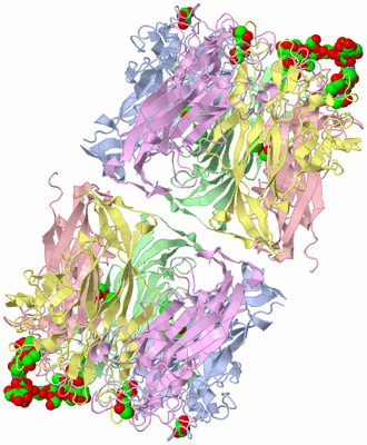 Image Biological Unit 2