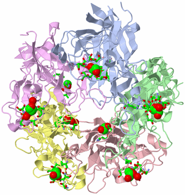 Image Biol. Unit 1 - sites