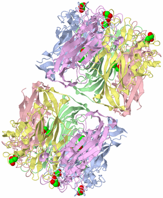 Image Biological Unit 2