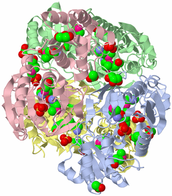 Image Biological Unit 1