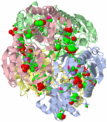 Image Biol. Unit 1 - sites