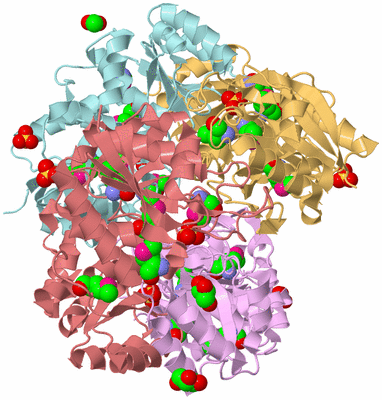 Image Biological Unit 2