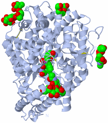 Image Biological Unit 1