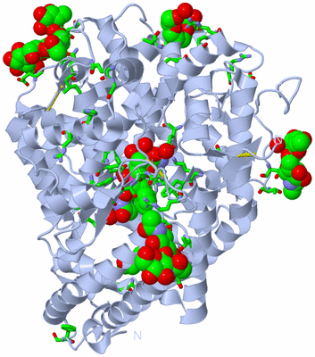 Image Biol. Unit 1 - sites