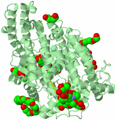 Image Biological Unit 2