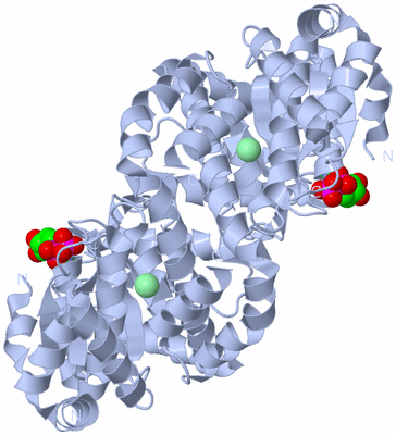 Image Biological Unit 1