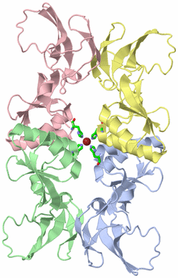 Image Asym./Biol. Unit - sites