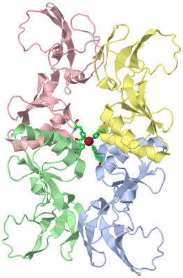 Image Asym./Biol. Unit - sites