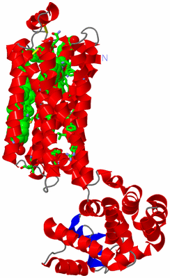 Image Asym./Biol. Unit - sites