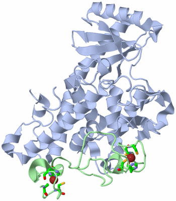 Image Asym./Biol. Unit - sites