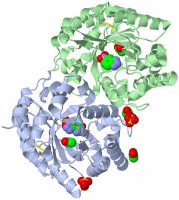 Image Asym./Biol. Unit