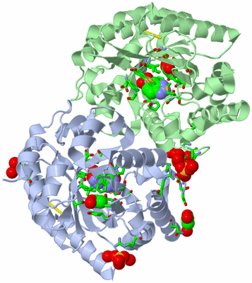 Image Asym./Biol. Unit - sites