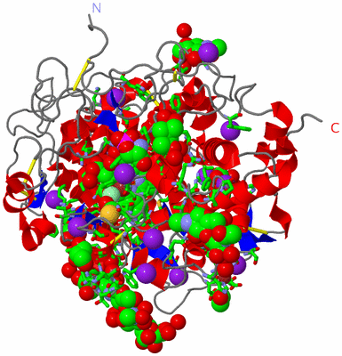 Image Asym./Biol. Unit - sites