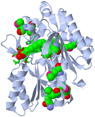 Image Biol. Unit 1 - sites