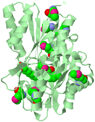 Image Biological Unit 2