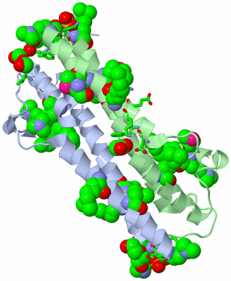 Image Asym./Biol. Unit - sites