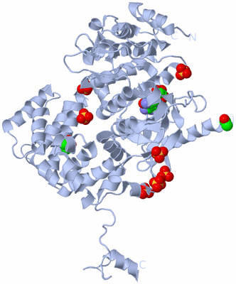 Image Biological Unit 1