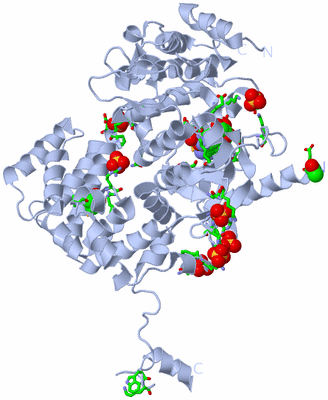 Image Biol. Unit 1 - sites