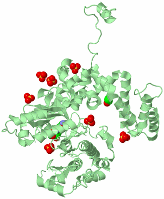 Image Biological Unit 2