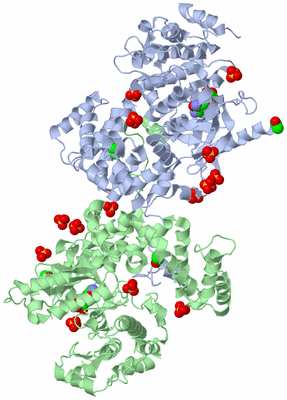 Image Biological Unit 3