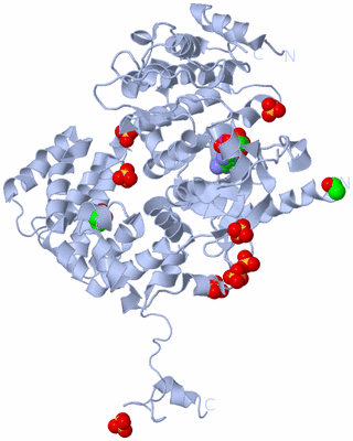 Image Biological Unit 1