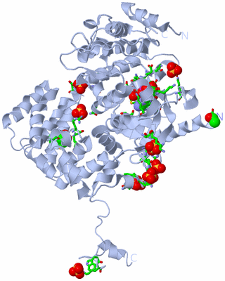 Image Biol. Unit 1 - sites