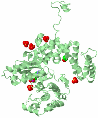 Image Biological Unit 2