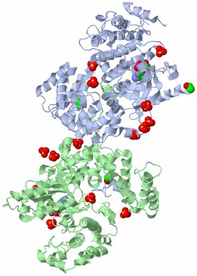 Image Biological Unit 3