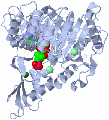 Image Biological Unit 1