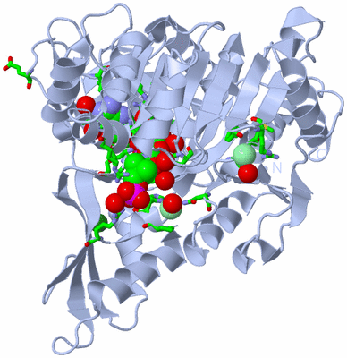 Image Biol. Unit 1 - sites