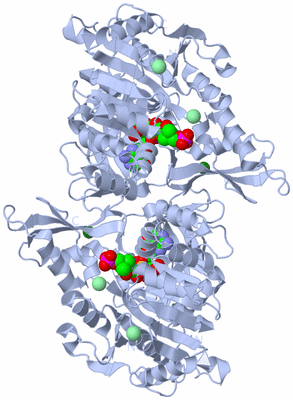 Image Biological Unit 2