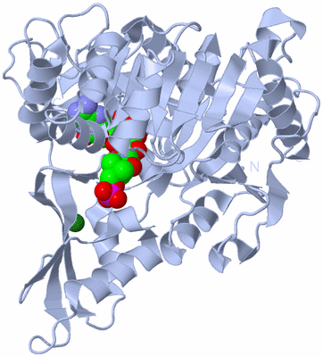 Image Biological Unit 1