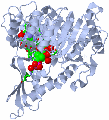 Image Biol. Unit 1 - sites