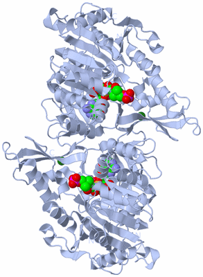 Image Biological Unit 2