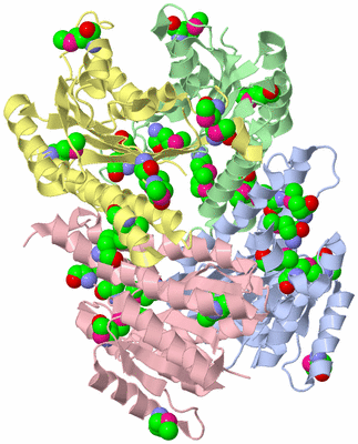 Image Asym./Biol. Unit