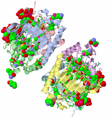 Image Biol. Unit 1 - sites